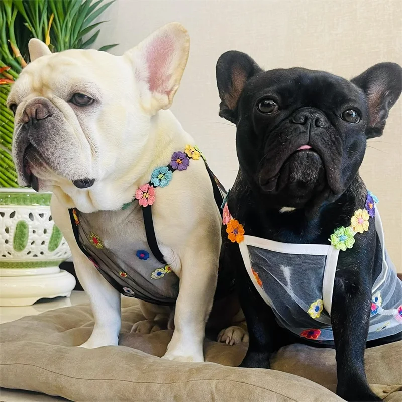 Summer Meash Breathable Dog Ve – Summer Clothing In French recenzja i cena