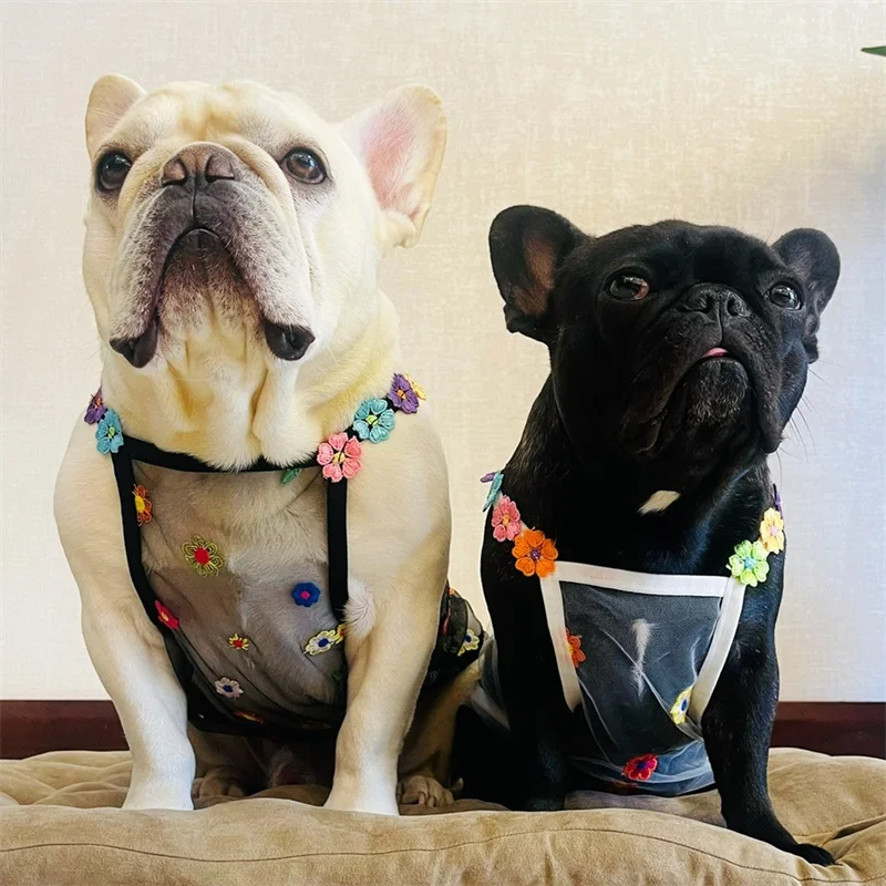 Summer Meash Breathable Dog Ve – Summer Clothing In French recenzja i cena