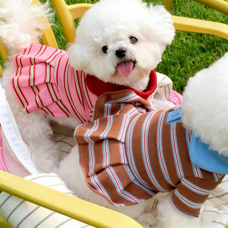 Summer Dog Polo Dress Striped  – Summer Clothing In French recenzja i cena