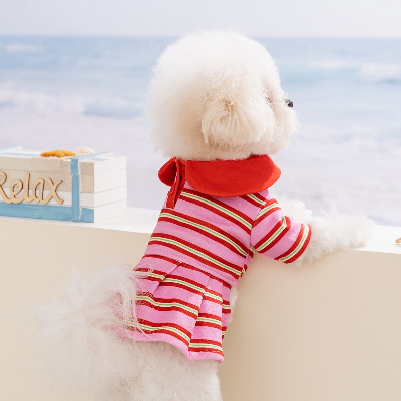 Summer Dog Polo Dress Striped  – Summer Clothing In French recenzja i cena