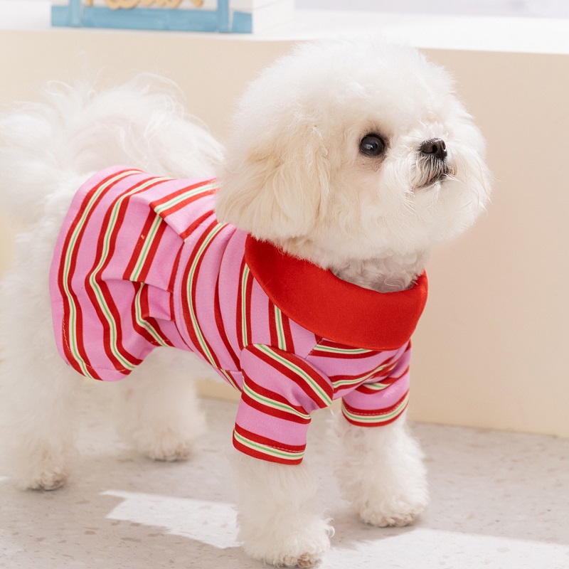 Summer Dog Polo Dress Striped  – Summer Clothing In French recenzja i cena