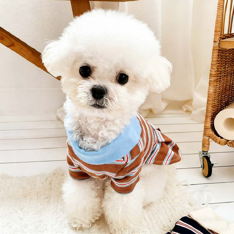 Dog Clothes Summer Striped Dog – Summer Clothing In French recenzja i cena