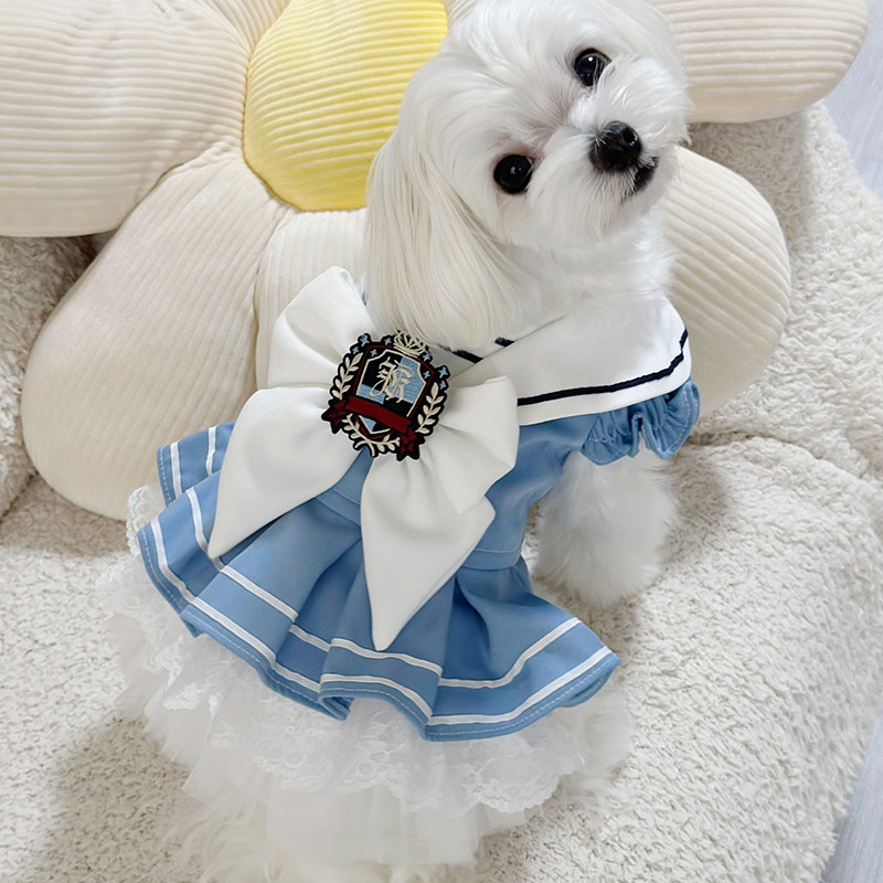 Sweet College Style Dress Pet  – Summer Clothing In French recenzja i cena