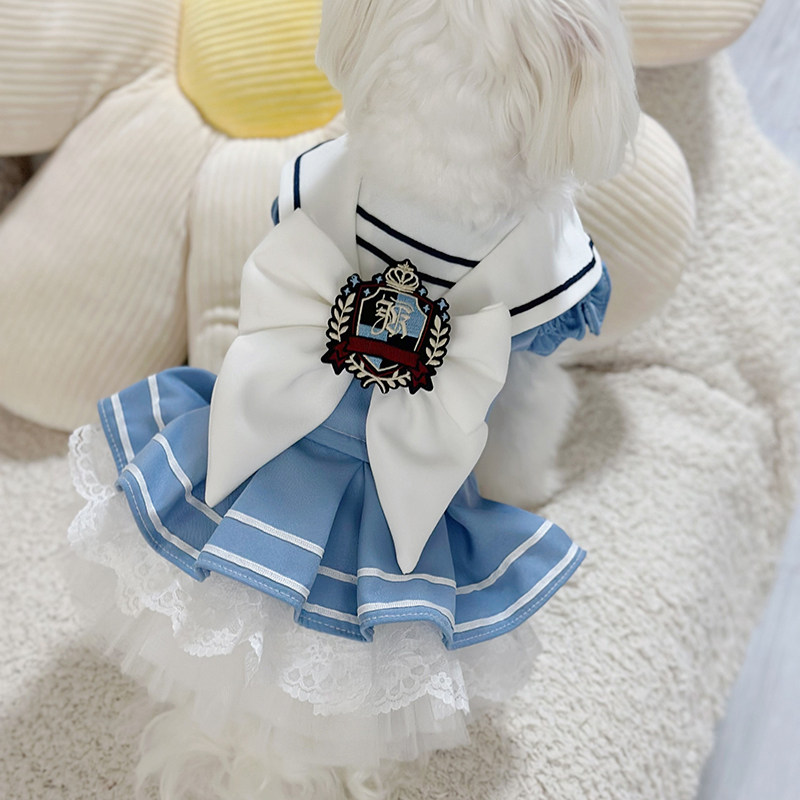 Sweet College Style Dress Pet  – Summer Clothing In French recenzja i cena