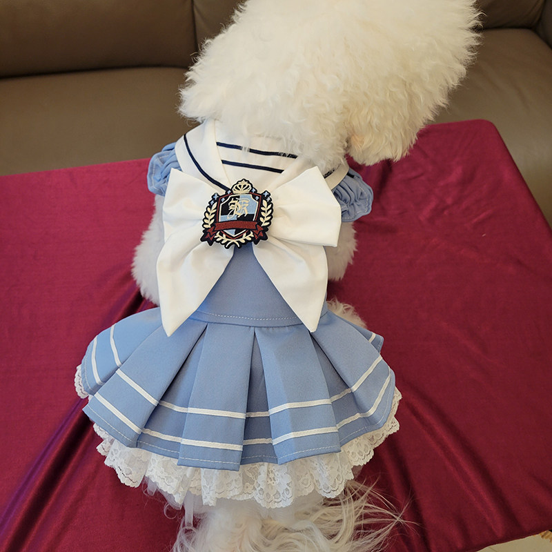 Sweet College Style Dress Pet  – Summer Clothing In French recenzja i cena