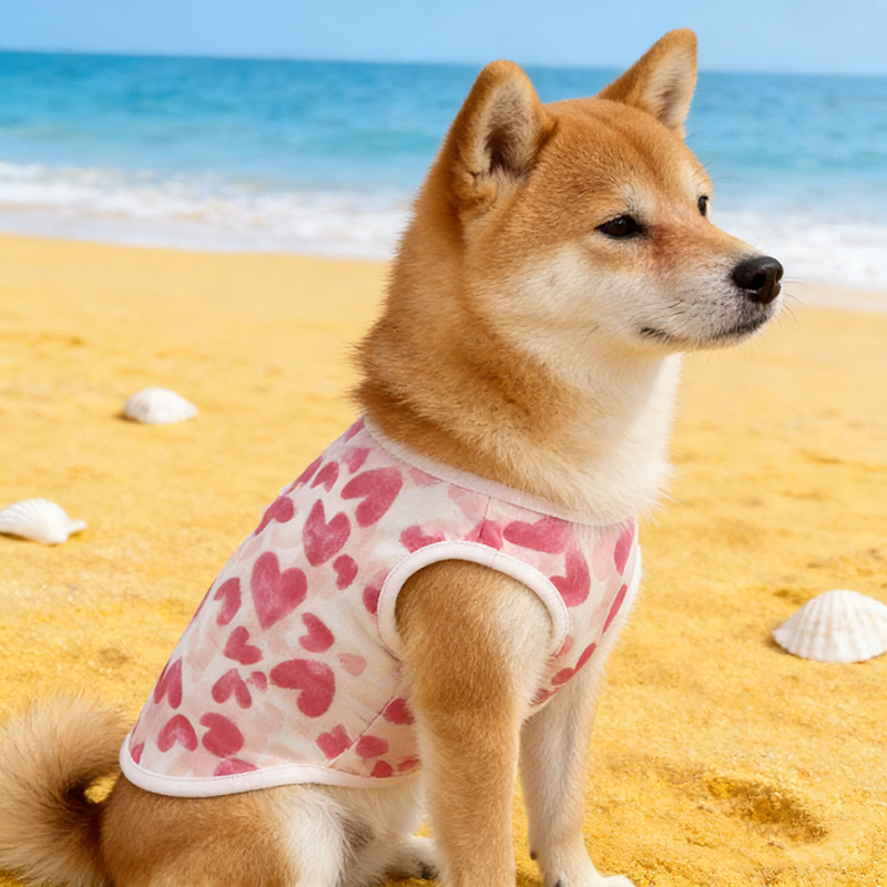 Dog Clothes Summer Thin Dog Ve – Summer Clothing In French recenzja i cena